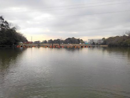 大安トラウトレイク 釣果